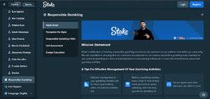 Stake Responsible Gambling Tools