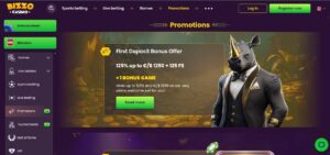 Bizzo Casino Norway Bonuses